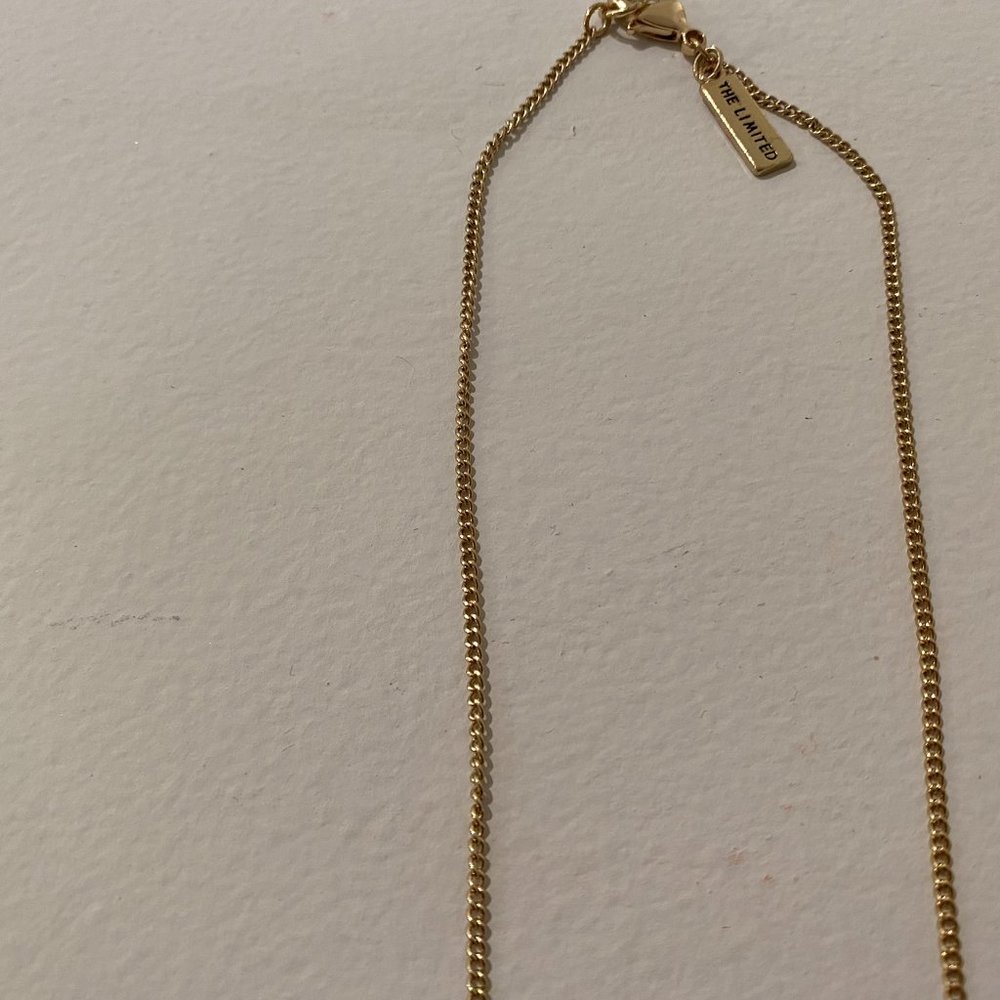 The Limited Gold Tassel Necklace - Picture 5 of 5